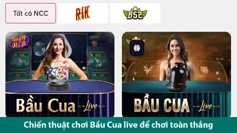 Áp dụng chiến thuật và các bí quyết để chơi Bầu Cua live toàn thắng
